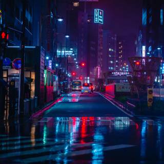 After dark in neon city