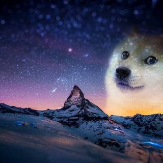 BIG MESSAGE: dear everyone who sees this, im quiting roblox content. it will be DOGE content now.:) dont worry i still play roblox :) OMG, wait i see something is space..