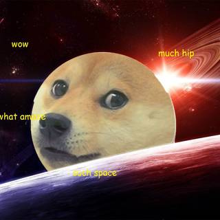 wow, amaze, such hips, im a doge,pure doge.
