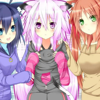 Anime Cat girl Triplets