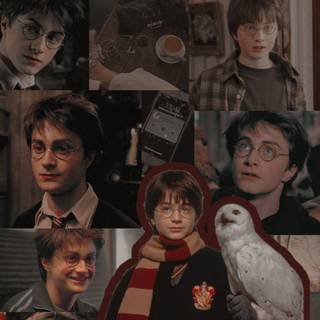 my fav person its Harry potter 