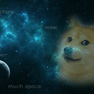 wow, much space,amaze, im space doge