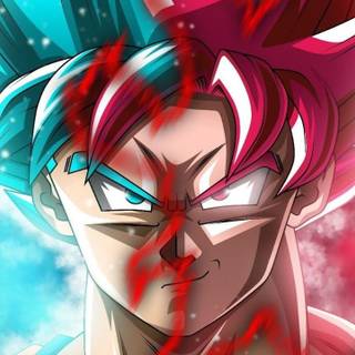 Cuty_cats Wallpapers - Wallpaper Cave