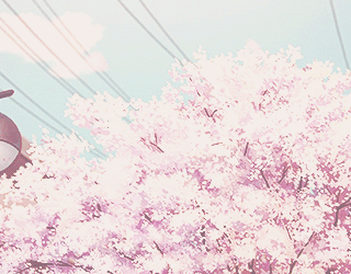 Sakura Treee