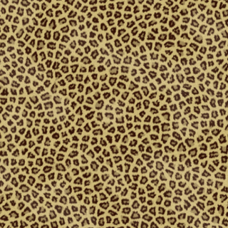 cheetah layer