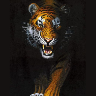 Tiger Prowl Phone Wallpaper