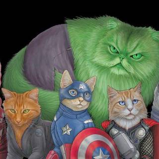 Cat Avengers!