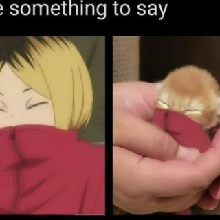 I see no difference, Kenma-kun..
