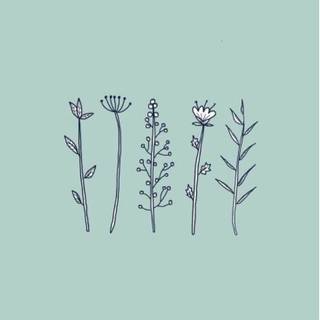 Jade Wallpapers - Wallpaper Cave