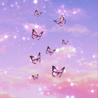 i love butterflies 