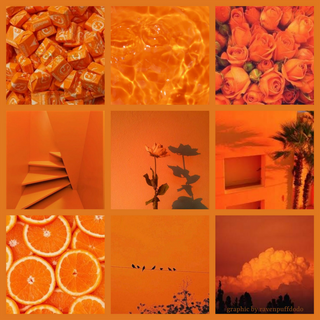 <3 daily orange aesthetic <3 