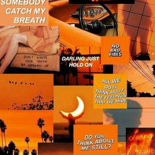 <3 orange collage aesthetic <3