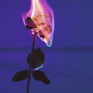 im done this what i wanna do all i wanna do is burn a flower this what i am feeling