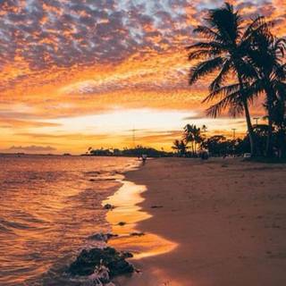 Honolulu Hawaii Sunset