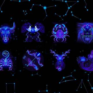 All the Zodiac sign of the animals