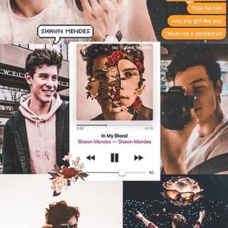 shawn mendes 