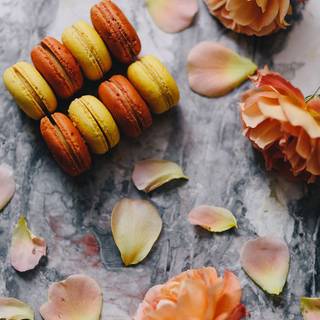 Macaroons, leafs, and other aesthetic things!
