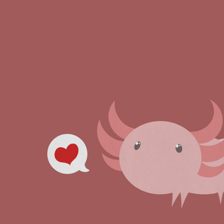 Axolotl wallpaper! ALMOST 30 FOLLOWERS!!! Thanks for the support!