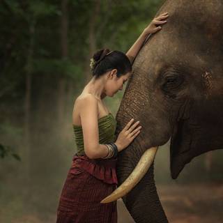 Me with a elephant 