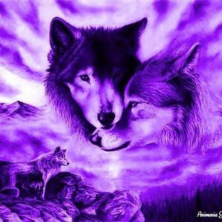 Purple wolves