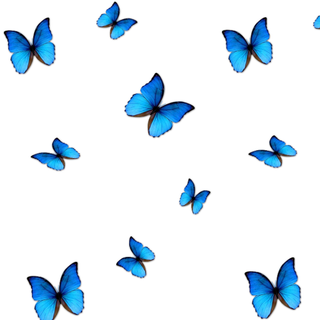 aesthetic butterflies (tell me if i should do more)