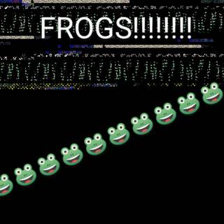 My frog die :(