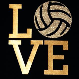 love volleyball
