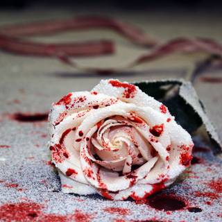 She paints her flowers with blood