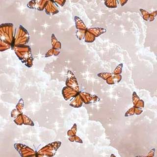 aesthetic iphone butterfly wallpaper