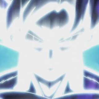 Goku: Mastered Ultra Instinct