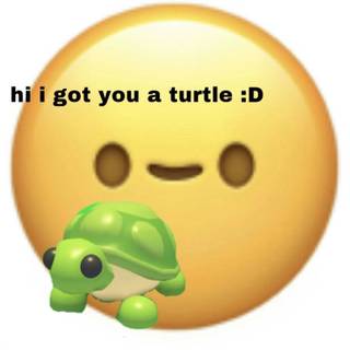 hi i got you a turtle :D