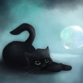 Black Blue Mist Kitten
