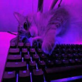Glowing Keyboard Cat