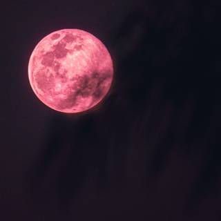the night moon