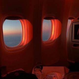 plane,sunset/sunrise, flying business 