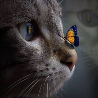 among us
