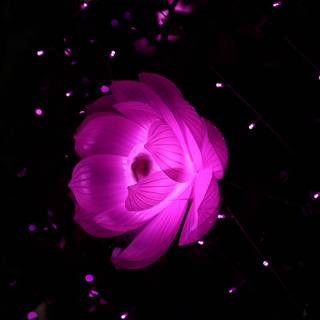 Flower Shape Artistic Light