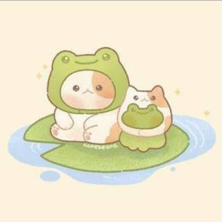 Cute little frogs 