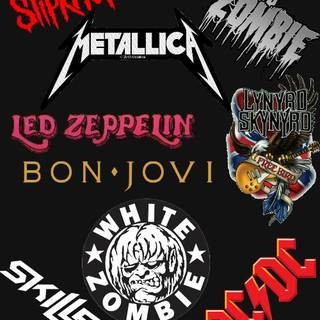 my favorite bands 
