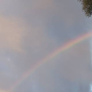 It rained earlier and here is our ending rainbow