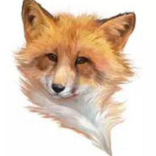 Red Fox Cutie 