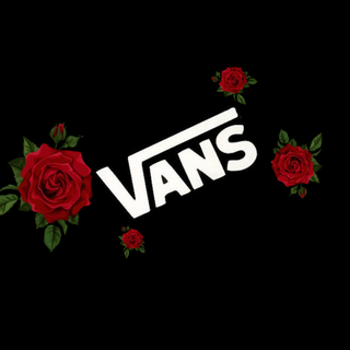 Roses Vans tell me what else i should do)