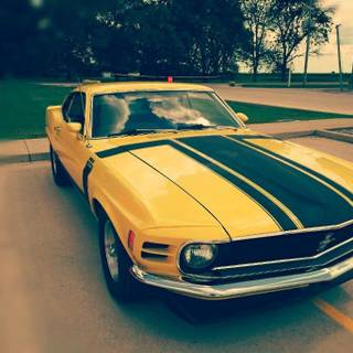 1970 Ford Mustang Mach 1