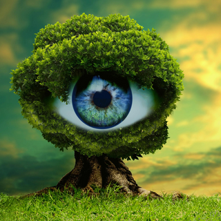 Eye tree