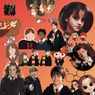 harry potter/ for the fans