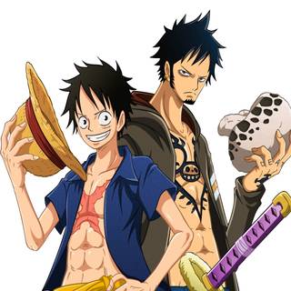 Luffy and Law