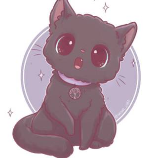 Cute Luna cat