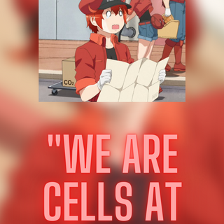 Red Blood Cell is Trying Her Best