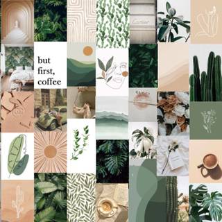 Green Aesthetic Wallpaper
