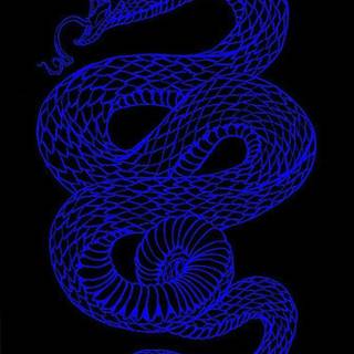 Blue snake